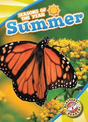 bokomslag Summer