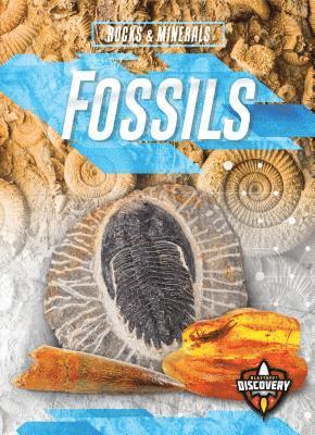 Patrick Perish - Fossils, Häftad
