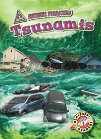 bokomslag Tsunamis