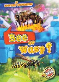 bokomslag Bee or Wasp?