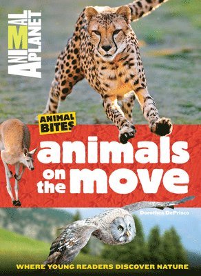 Animal Bites: Animals On the Move Where Young Readers Discover Nature