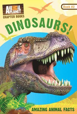 Dinosaurs!: Book #2
