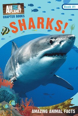 Sharks!: Book #1