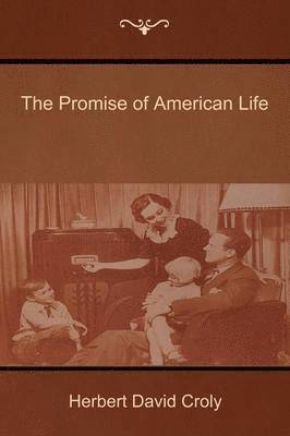 bokomslag The Promise of American Life