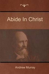 bokomslag Abide In Christ
