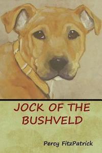 bokomslag Jock of the Bushveld