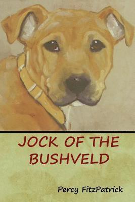 Jock of the Bushveld 1