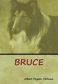 bokomslag Bruce