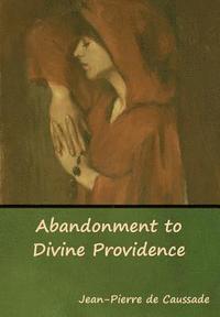 bokomslag Abandonment to Divine Providence