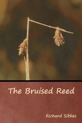 bokomslag The Bruised Reed