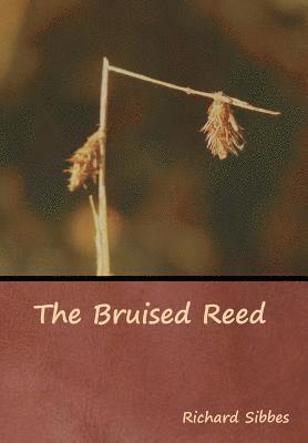 bokomslag The Bruised Reed