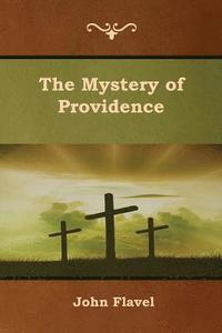 bokomslag The Mystery of Providence