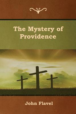 bokomslag The Mystery of Providence