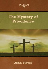 bokomslag The Mystery of Providence