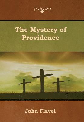 bokomslag The Mystery of Providence