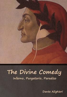 bokomslag Divine Comedy
