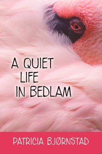 bokomslag A Quiet Life in Bedlam