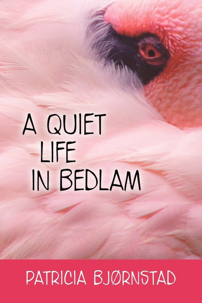 A Quiet Life in Bedlam 1