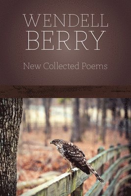 bokomslag New Collected Poems