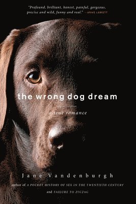 bokomslag Wrong Dog Dream