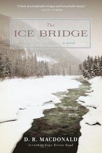 bokomslag The Ice Bridge