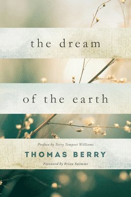 bokomslag Dream of the Earth
