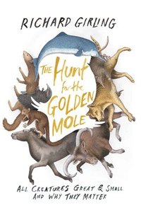 bokomslag The Hunt for the Golden Mole: All Creatures Great & Small and Why They Matter