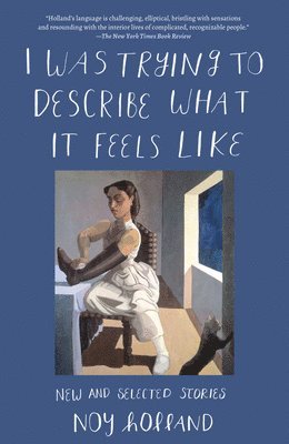 bokomslag I Was Trying to Describe What It Feels Like: New and Selected Stories