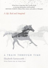 bokomslag A Train through Time