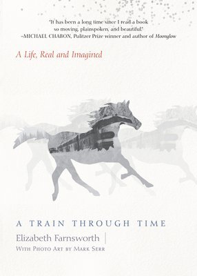 bokomslag A Train through Time