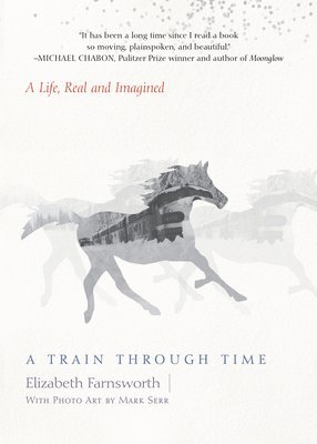 bokomslag Train through Time