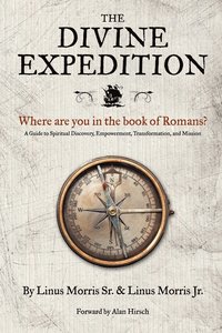 bokomslag Divine Expedition