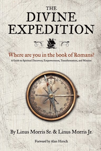 bokomslag Divine Expedition