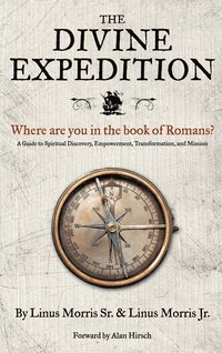 bokomslag Divine Expedition