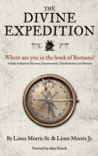 bokomslag The Divine Expedition