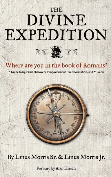 bokomslag Divine Expedition