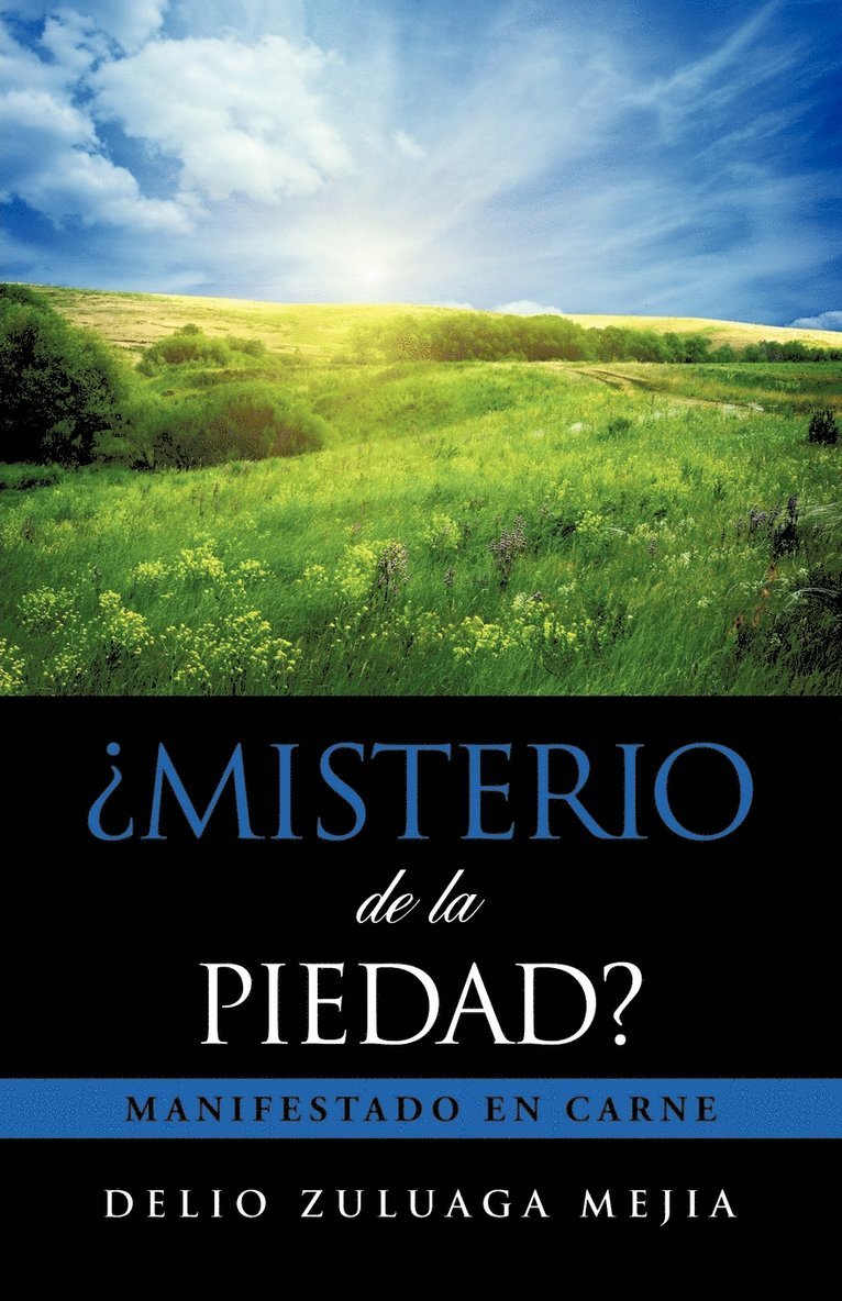 Misterio de La Piedad? 1