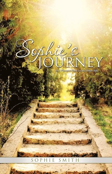 bokomslag Sophie's Journey