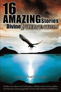 bokomslag 16 Amazing Stories of Divine Intervention