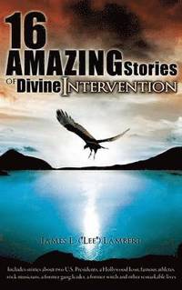 bokomslag 16 Amazing Stories of Divine Intervention