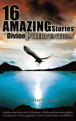 bokomslag 16 Amazing Stories of Divine Intervention