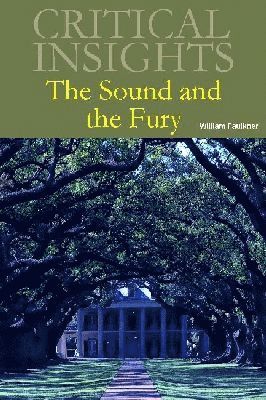 Taylor Hagood - Sound and the Fury, Inbunden