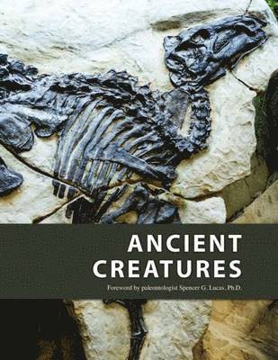 Ancient Creatures 1