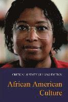 bokomslag African American Culture