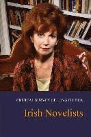 bokomslag Irish Novelists
