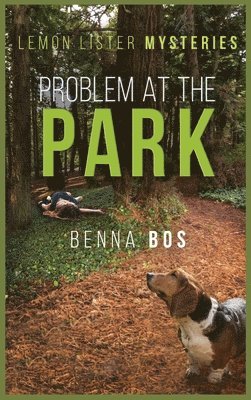 bokomslag Problem At The Park