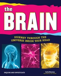 bokomslag Brain