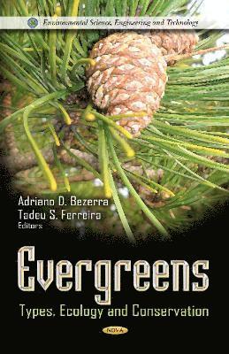 bokomslag Evergreens