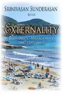 bokomslag Externality