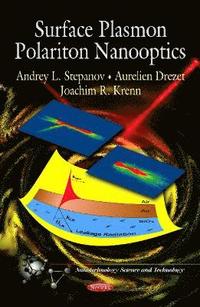 bokomslag Surface Plasmon Polariton Nanooptics